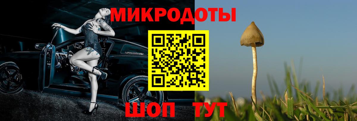 наркотики  Галлюциногенные грибы Magic Shrooms  Вход с VPN  Киреевск 